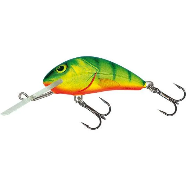 Custom Fishing Lures-Salmo Floating Hornet 5cm