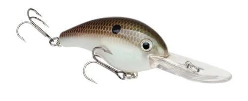 Green Gizzard Shad