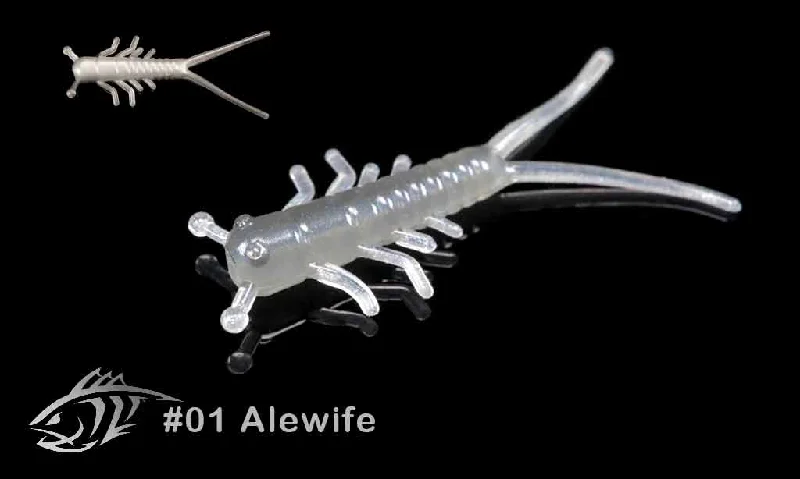 01 Alewife