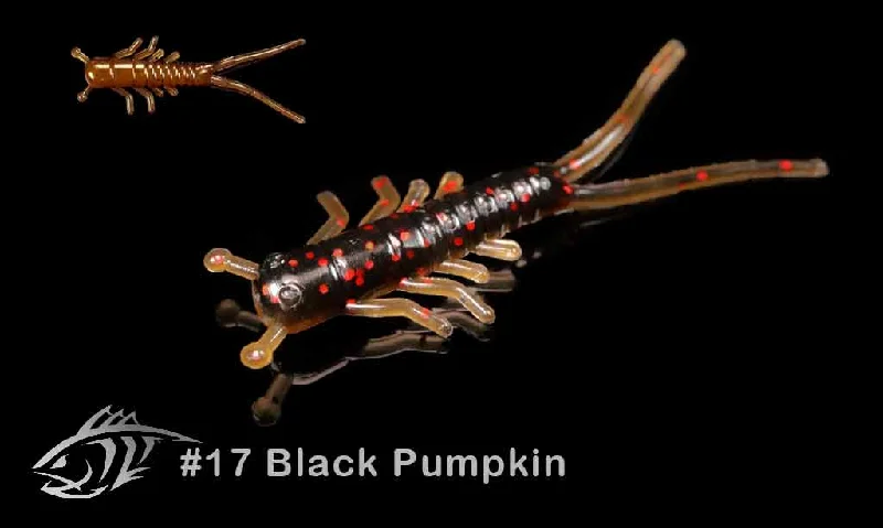 17 Black Pumpkin