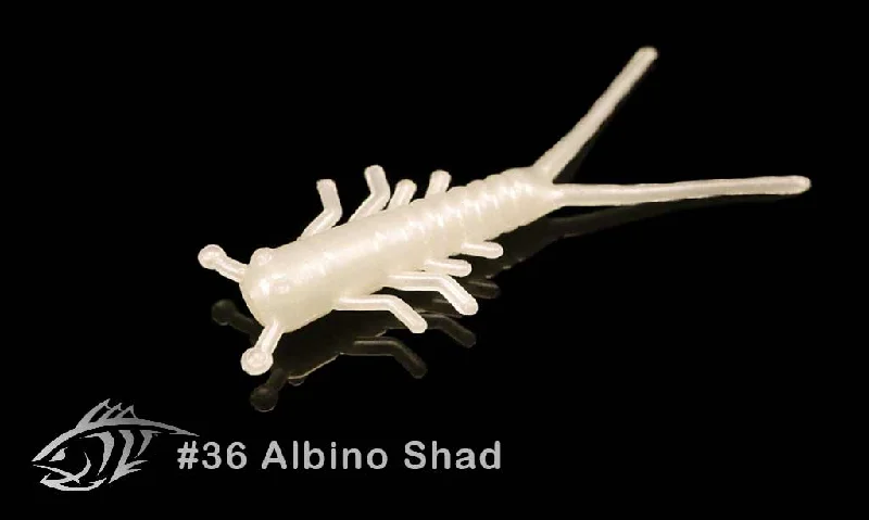 36 Albino Shad