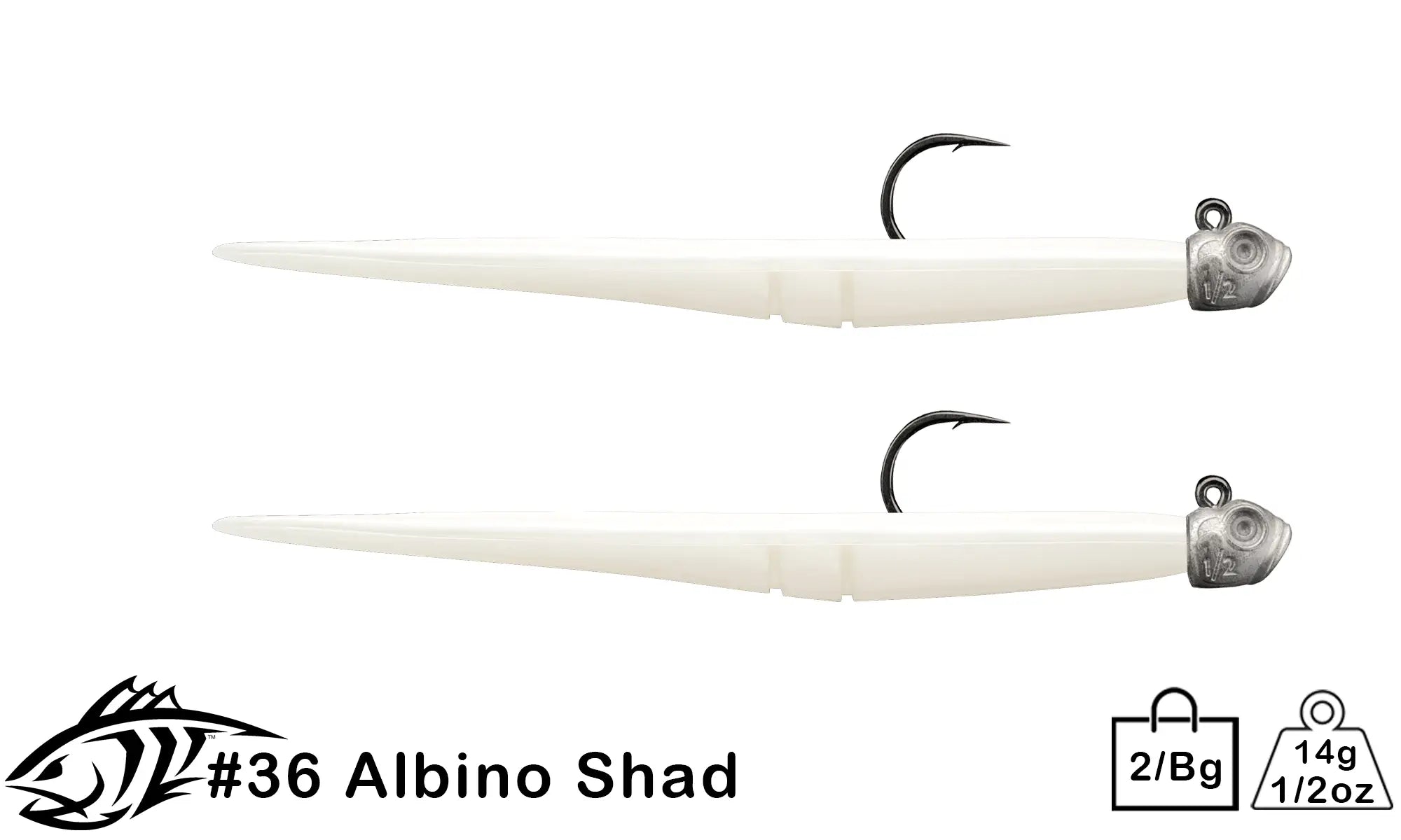 36 Albino Shad