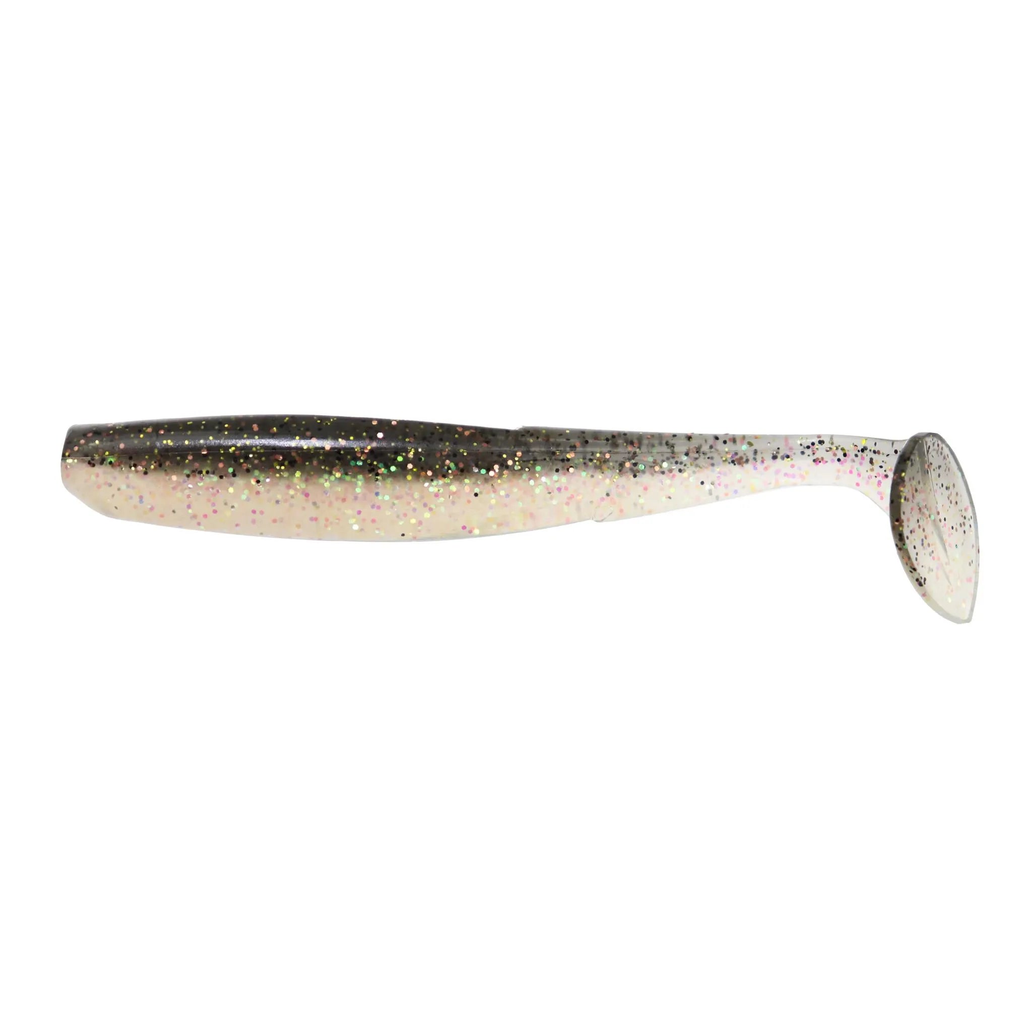 Northern Minnow