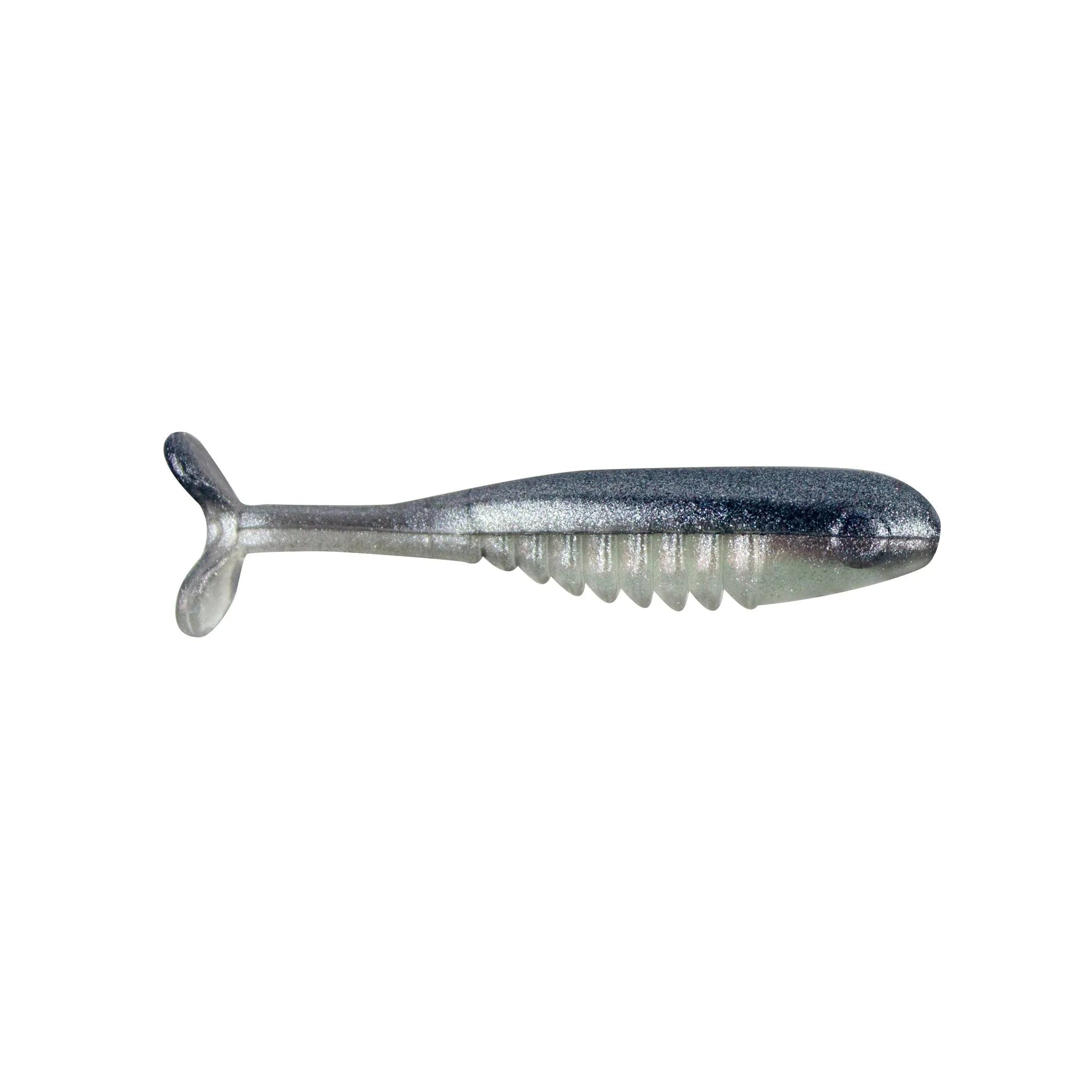 2.25'' Live Minnow