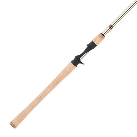 Best Fishing Rod for Beginners with Reel-FENWICK - TECNA PX - CASTING RODS